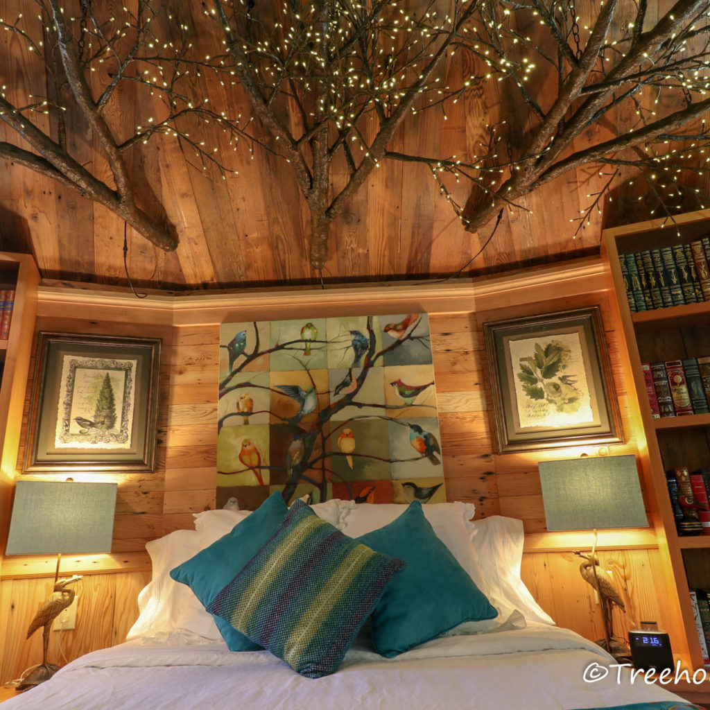 Treehouse Utopia – Renew! Refresh! Relax!