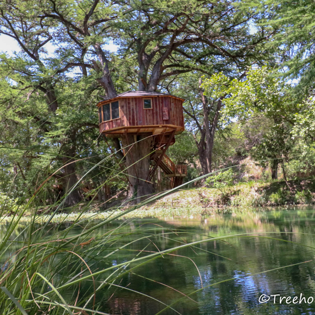Treehouse Utopia – Renew! Refresh! Relax!