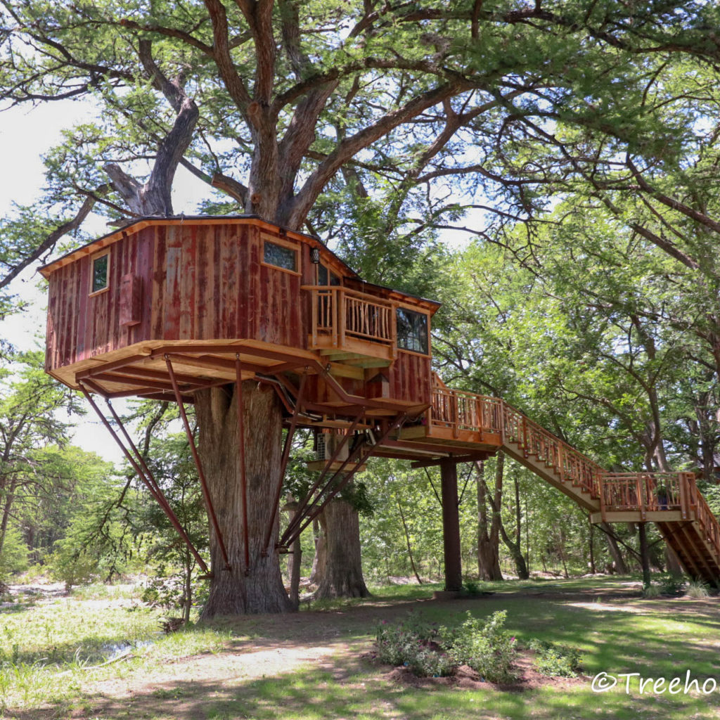 Treehouse Utopia – Renew! Refresh! Relax!