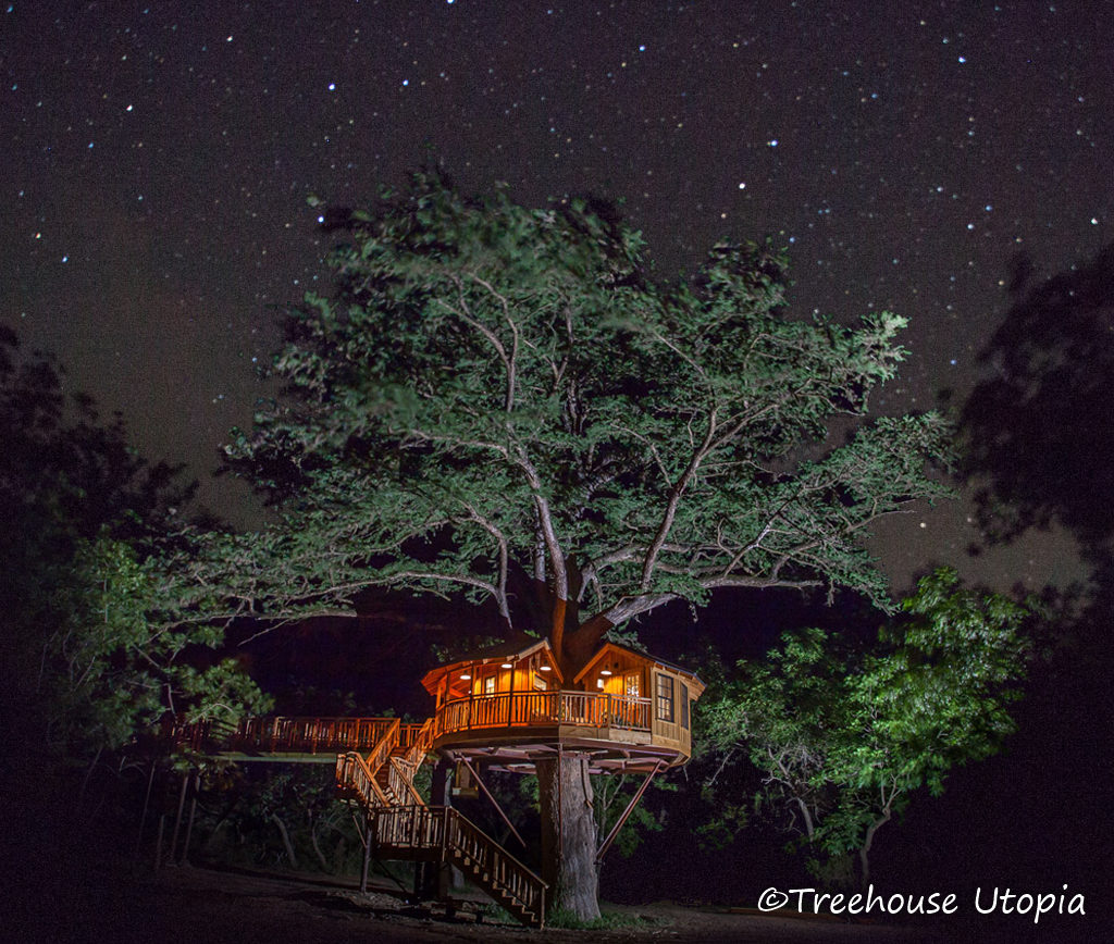 Treehouse Utopia – Renew! Refresh! Relax!